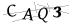 CAPTCHA de