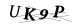 CAPTCHA de