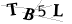 CAPTCHA de
