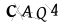 CAPTCHA de