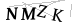 CAPTCHA de
