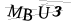CAPTCHA de