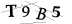 CAPTCHA de