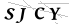 CAPTCHA de